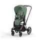 Cybex Priam Rosegold