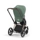 Cybex Priam Rosegold