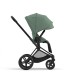 Cybex Priam Matt Black