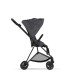 Cybex Carrinho de Passeio Mios Simply Flowers 2022